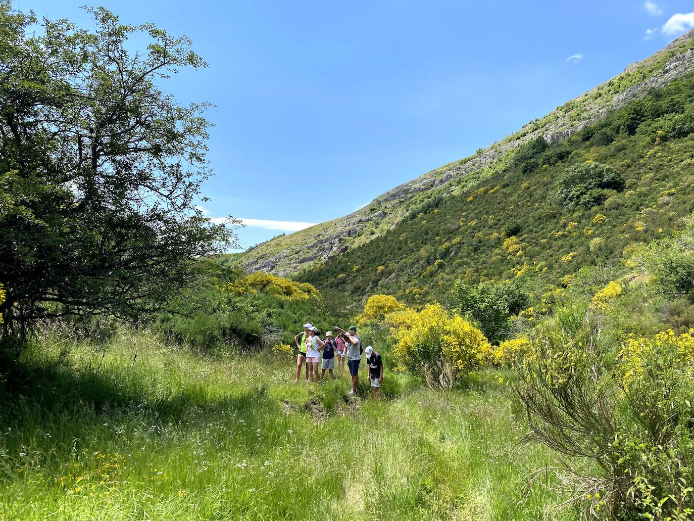 A escasos 50 kilómetros de la ciudad de León se puede disfrutar de una ruta de media montaña, apta para niños, donde ver espectaculares formaciones de roca caliza