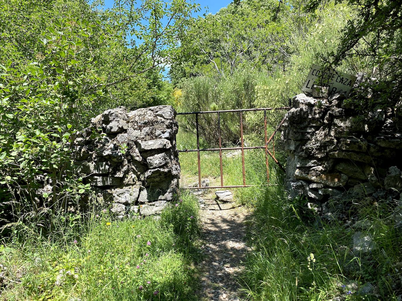 A escasos 50 kilómetros de la ciudad de León se puede disfrutar de una ruta de media montaña, apta para niños, donde ver espectaculares formaciones de roca caliza