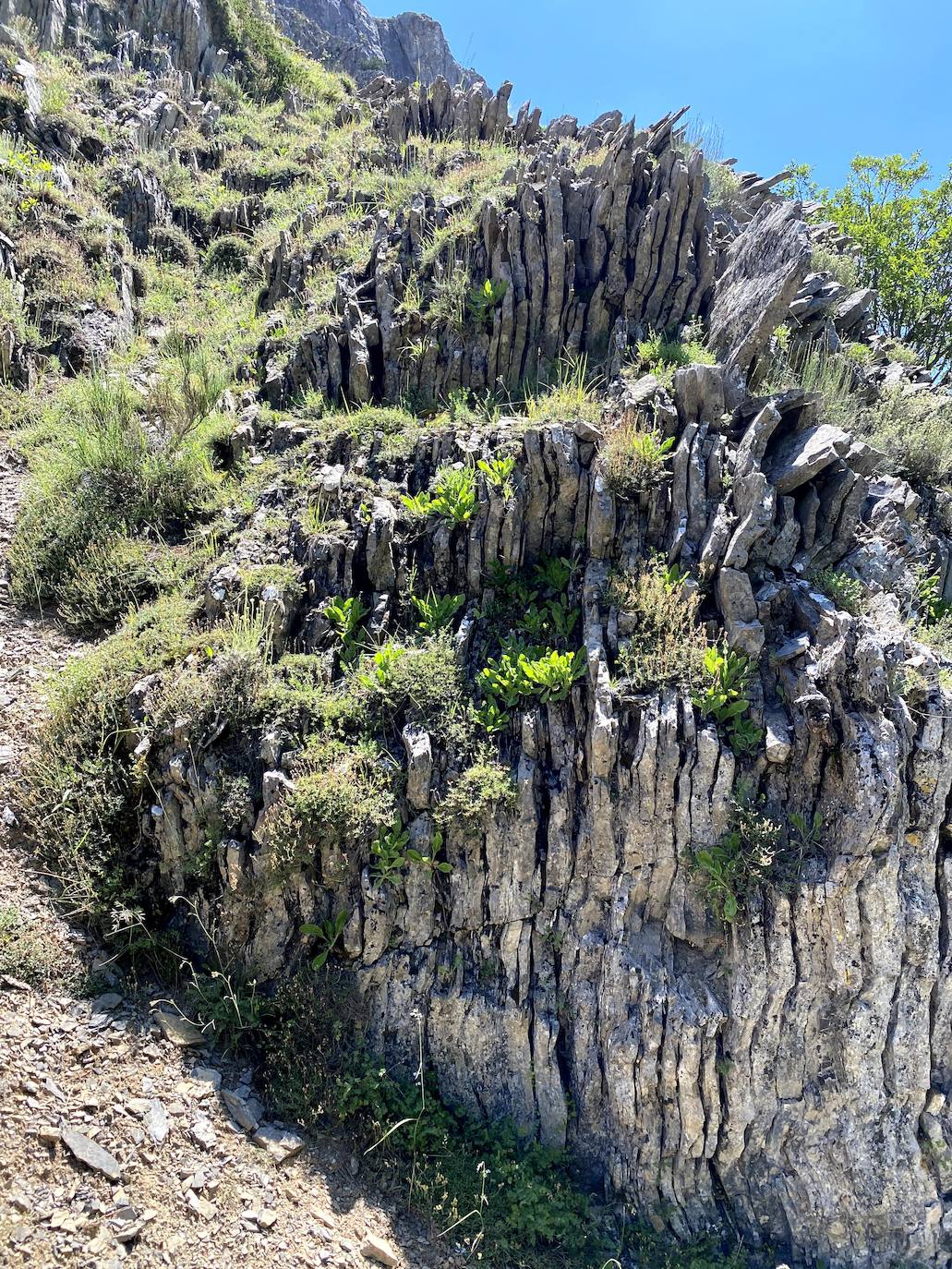 A escasos 50 kilómetros de la ciudad de León se puede disfrutar de una ruta de media montaña, apta para niños, donde ver espectaculares formaciones de roca caliza