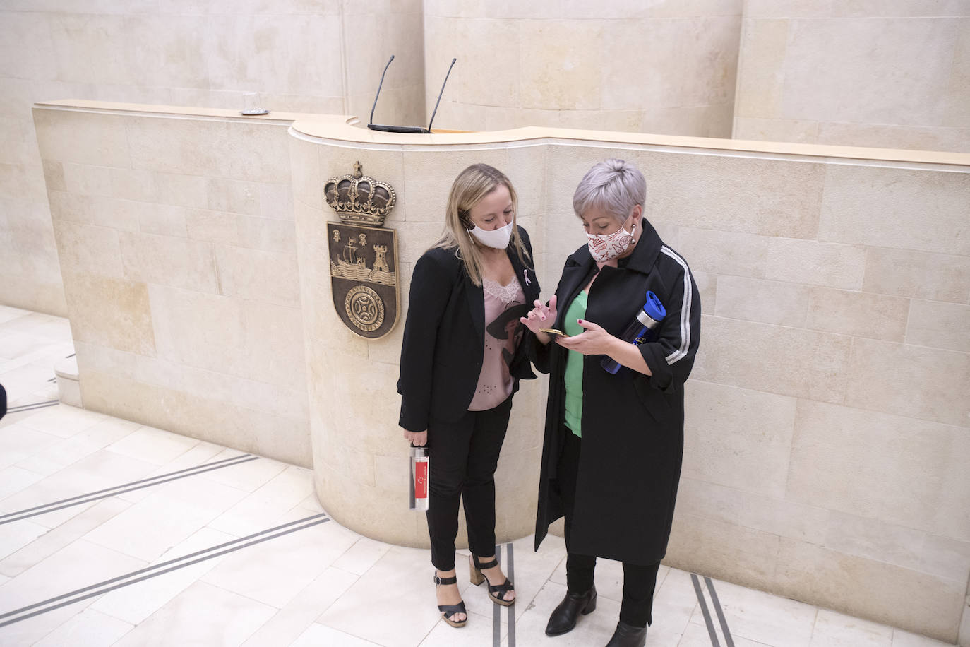 Pleno del Parlamento de Cantabria celebrado este lunes, 19 de octubre de 2020