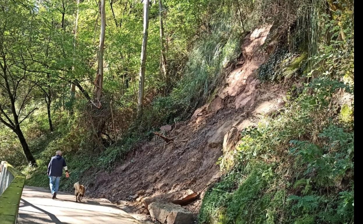 Argayo en la senda que atraviesa la Viesca 