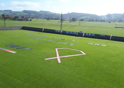 Imagen secundaria 1 - Arriba la concentración de tractores junto al dibujo plasmado en el campo, que se puede ver abajo a la derecha 