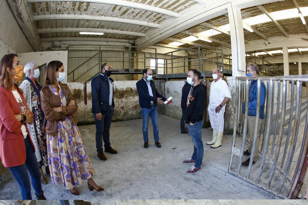 Concejales de la oposición conversan con el edil responsable del matadero, José Luis Urraca, ayer en la zona de la cuadra y boxes. 