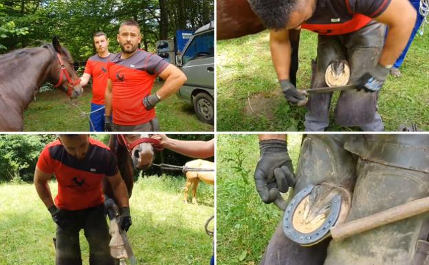 El herrador, una figura indispensable para cuidar a los caballos que hacen rutas por Picos de Europa