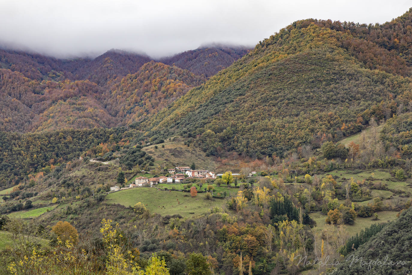 Los habitantes del medio rural van llenando el arcón y preparan la leña para los días que haga falta atizar.