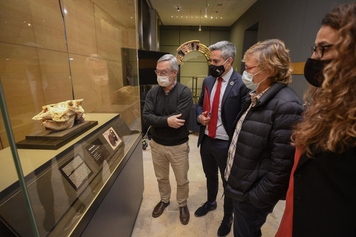 Roberto Ontañón, Pablo Zuloaga, Gema Agudo y Zoraida Hijosa durante la presentación de la nueva pieza del Museo de Prehistoria. 