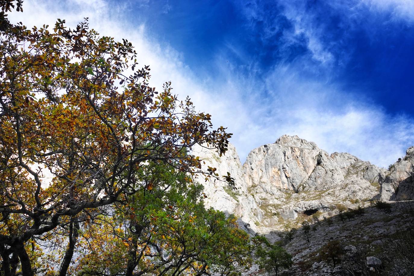 Los colores del otoño, e incluso el blanco de la nieve, ya han teñido algunos de los rincones de los Picos de Europa, uno de los lugares más imponentes enclavados entre Cantabria, Asturias y León. En este espacio encontraremos las cumbres más altas de la Cordillera Cantábrica como la más emblemática: el Picu Urriellu o Naranjo de Bulnes con sus 2.519 metros de altitud. Un total de 67.127 hectáreas que conforman una de las mejores reservas mundiales de los ecosistemas ligados al bosque atlántico.