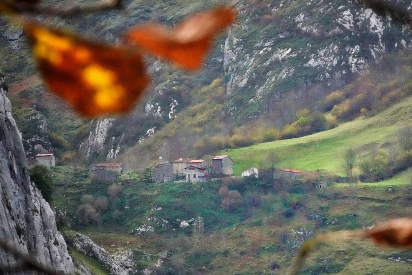 Los colores del otoño, e incluso el blanco de la nieve, ya han teñido algunos de los rincones de los Picos de Europa, uno de los lugares más imponentes enclavados entre Cantabria, Asturias y León. En este espacio encontraremos las cumbres más altas de la Cordillera Cantábrica como la más emblemática: el Picu Urriellu o Naranjo de Bulnes con sus 2.519 metros de altitud. Un total de 67.127 hectáreas que conforman una de las mejores reservas mundiales de los ecosistemas ligados al bosque atlántico.