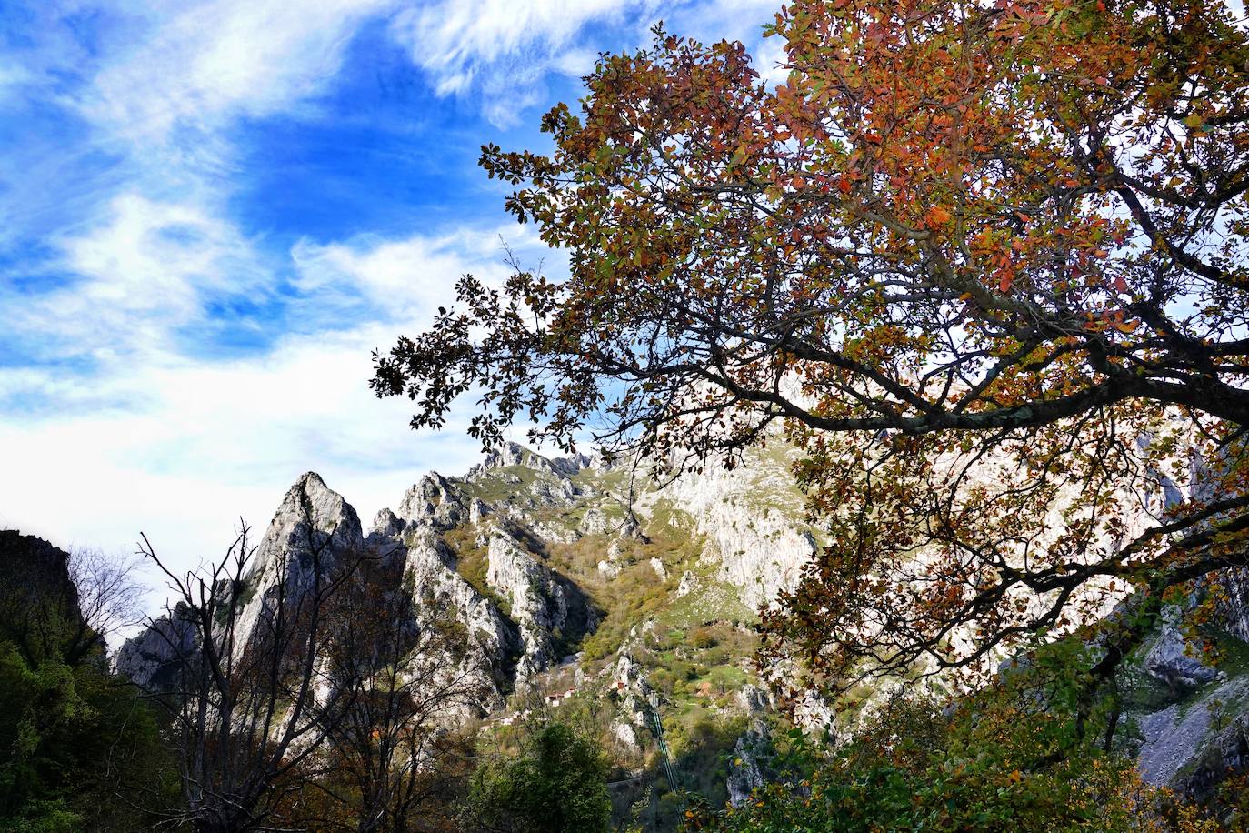 Los colores del otoño, e incluso el blanco de la nieve, ya han teñido algunos de los rincones de los Picos de Europa, uno de los lugares más imponentes enclavados entre Cantabria, Asturias y León. En este espacio encontraremos las cumbres más altas de la Cordillera Cantábrica como la más emblemática: el Picu Urriellu o Naranjo de Bulnes con sus 2.519 metros de altitud. Un total de 67.127 hectáreas que conforman una de las mejores reservas mundiales de los ecosistemas ligados al bosque atlántico.