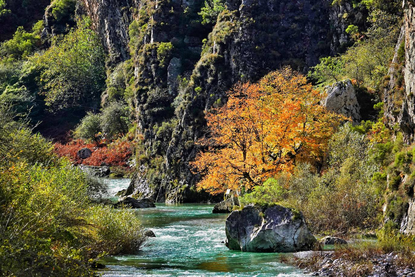 Los colores del otoño, e incluso el blanco de la nieve, ya han teñido algunos de los rincones de los Picos de Europa, uno de los lugares más imponentes enclavados entre Cantabria, Asturias y León. En este espacio encontraremos las cumbres más altas de la Cordillera Cantábrica como la más emblemática: el Picu Urriellu o Naranjo de Bulnes con sus 2.519 metros de altitud. Un total de 67.127 hectáreas que conforman una de las mejores reservas mundiales de los ecosistemas ligados al bosque atlántico.