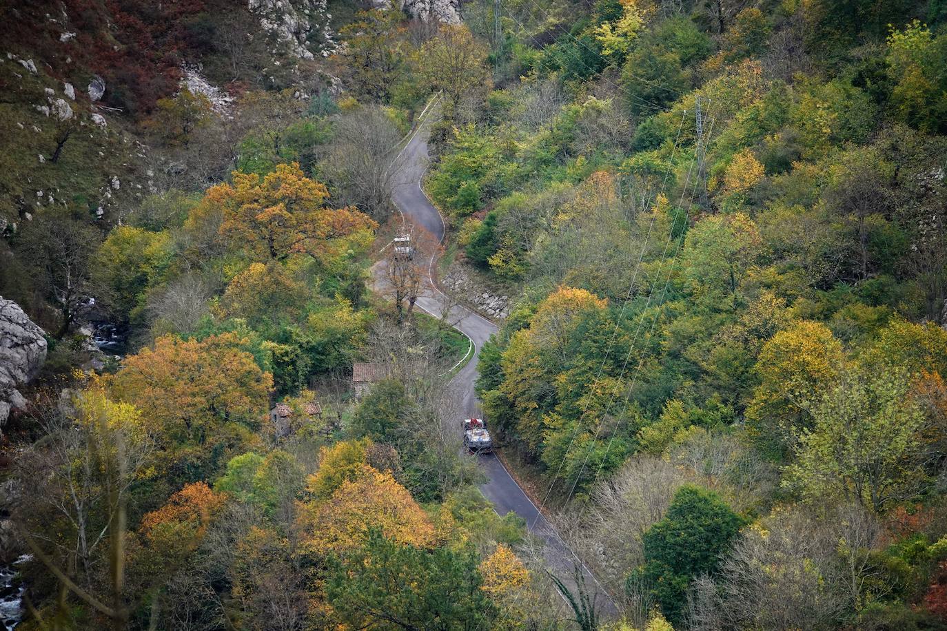 Los colores del otoño, e incluso el blanco de la nieve, ya han teñido algunos de los rincones de los Picos de Europa, uno de los lugares más imponentes enclavados entre Cantabria, Asturias y León. En este espacio encontraremos las cumbres más altas de la Cordillera Cantábrica como la más emblemática: el Picu Urriellu o Naranjo de Bulnes con sus 2.519 metros de altitud. Un total de 67.127 hectáreas que conforman una de las mejores reservas mundiales de los ecosistemas ligados al bosque atlántico.