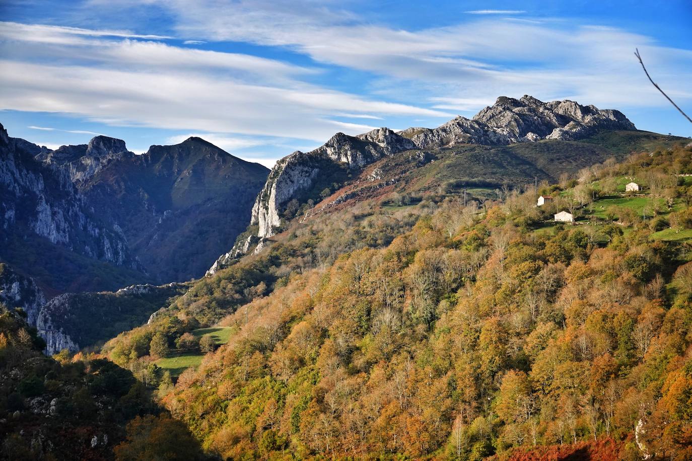 Los colores del otoño, e incluso el blanco de la nieve, ya han teñido algunos de los rincones de los Picos de Europa, uno de los lugares más imponentes enclavados entre Cantabria, Asturias y León. En este espacio encontraremos las cumbres más altas de la Cordillera Cantábrica como la más emblemática: el Picu Urriellu o Naranjo de Bulnes con sus 2.519 metros de altitud. Un total de 67.127 hectáreas que conforman una de las mejores reservas mundiales de los ecosistemas ligados al bosque atlántico.