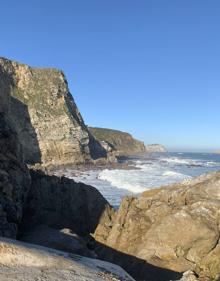 Imagen secundaria 2 - Dispositivo de esta mañana.