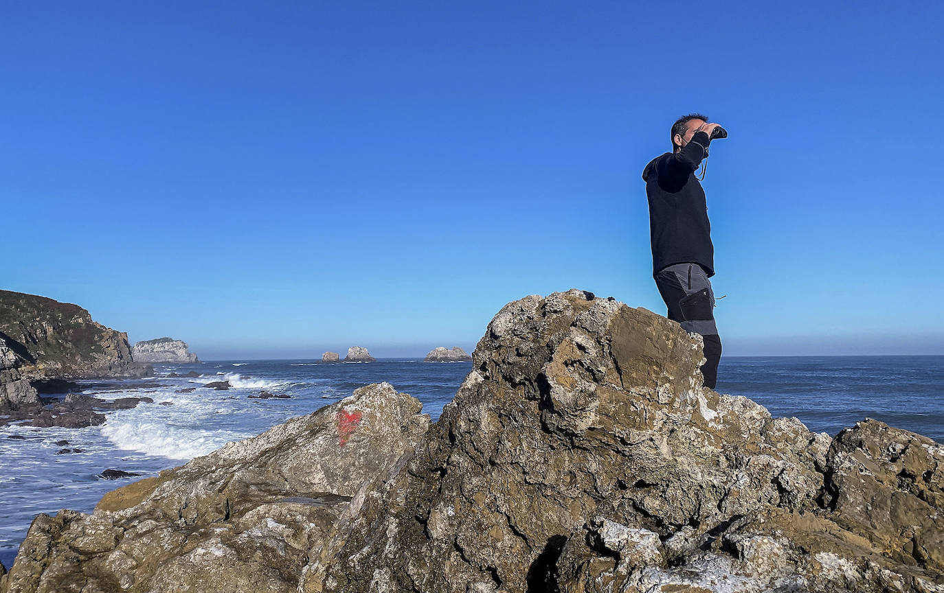 Fotos: Búsqueda en la costa