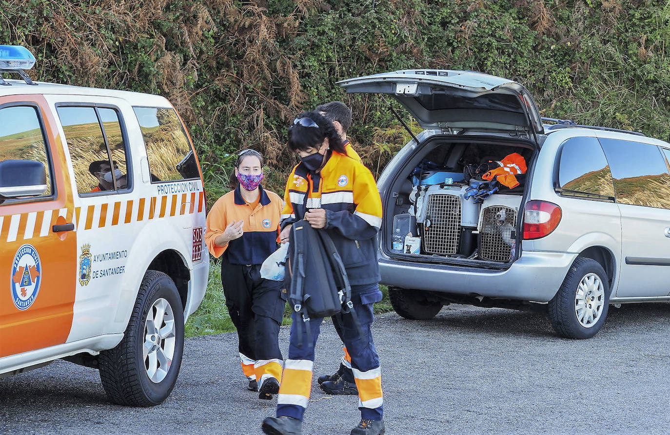 Fotos: Búsqueda en la costa