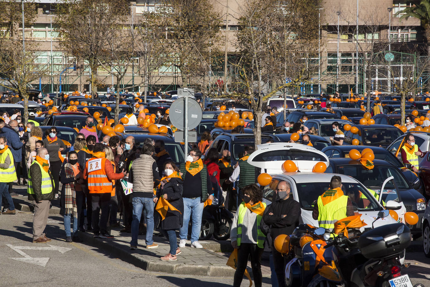 Fotos: Contra la ley Celaá