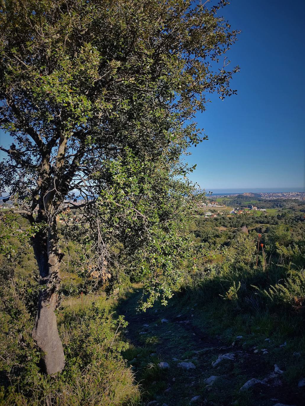 Fotos: Un paseo por Peñas Negras