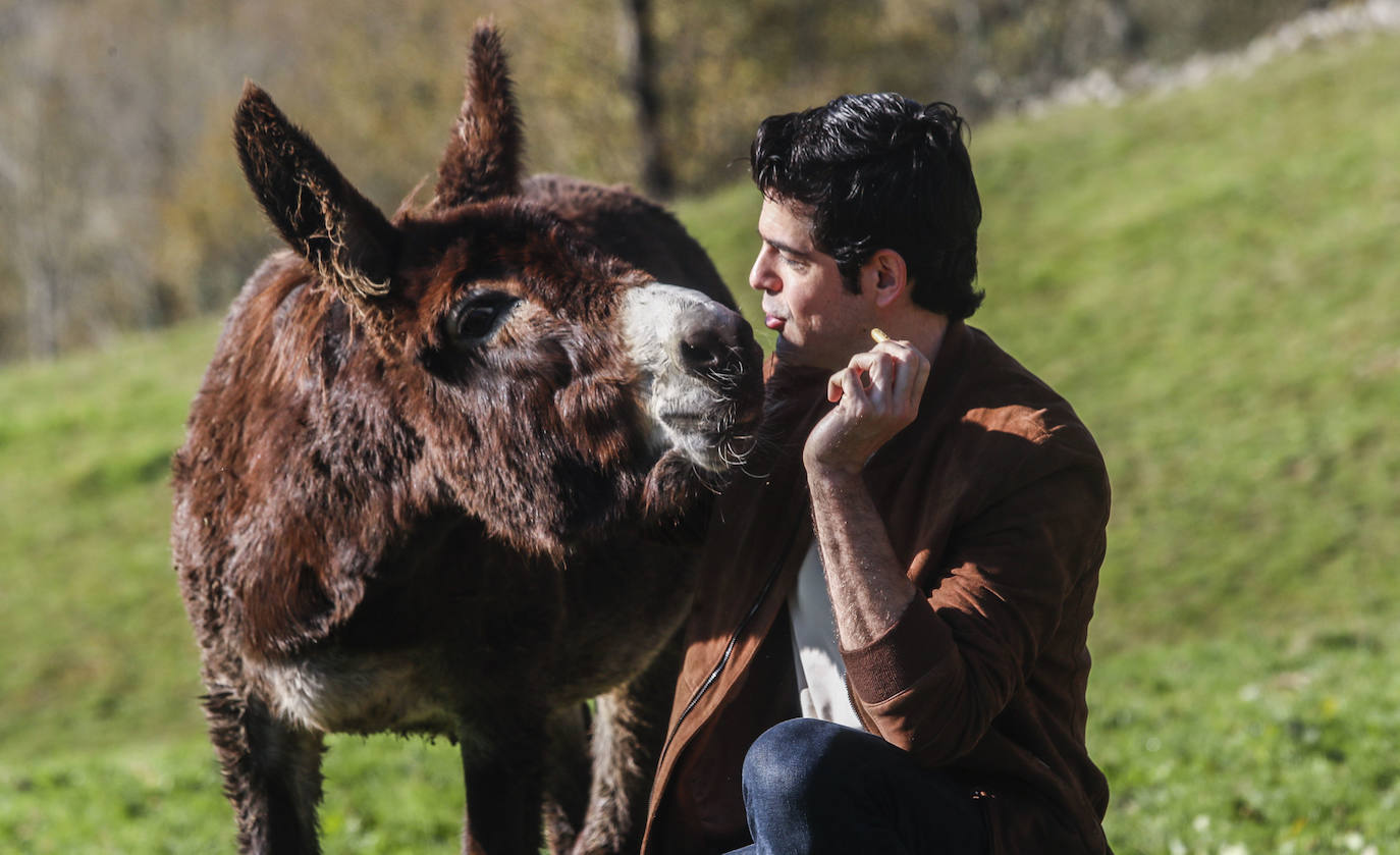 'Dos vacas y una burra', la película que vuelve a unir, después de 20 años, a Miguel Ángel Muñoz y Pablo Puyol, comienza a rodarse en pueblos de Cantabria.