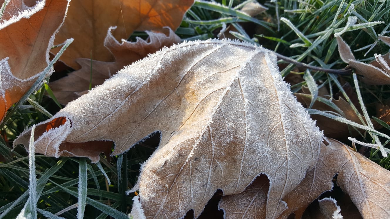 Fotos: Así de bonita se pone Valderredible cuando bajan las temperaturas