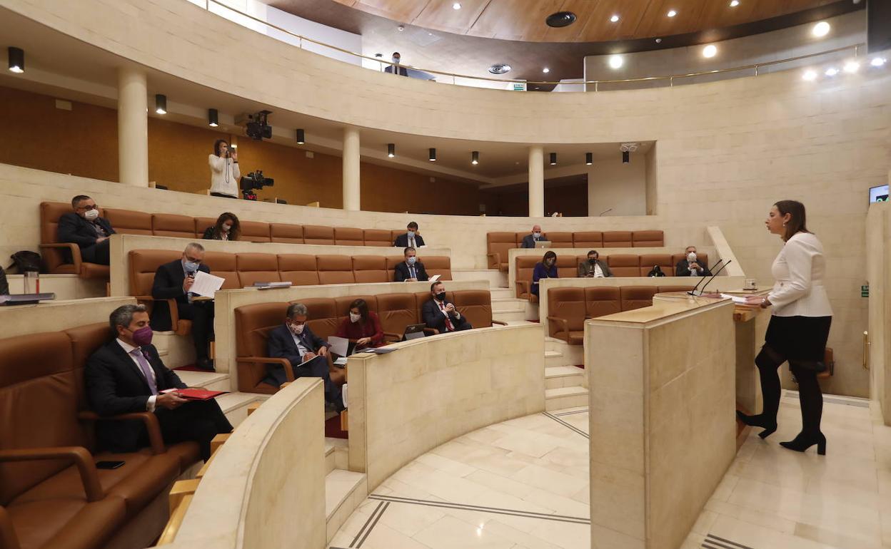 Debate de las enmiendas presentadas a los Presupuestos de Cantabria, esta mañana en el Parlamento.