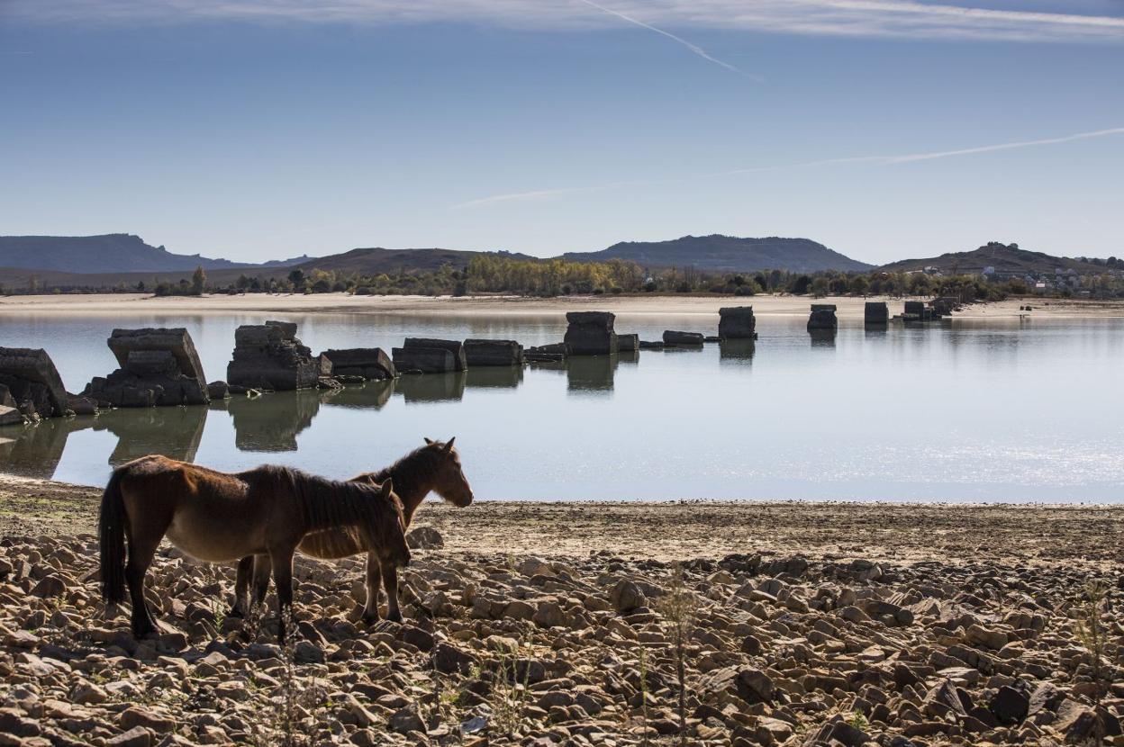 Imagen de archivo de los restos del puente Noguerol, aún visibles cuando retroceden las aguas del pantano del Ebro. 