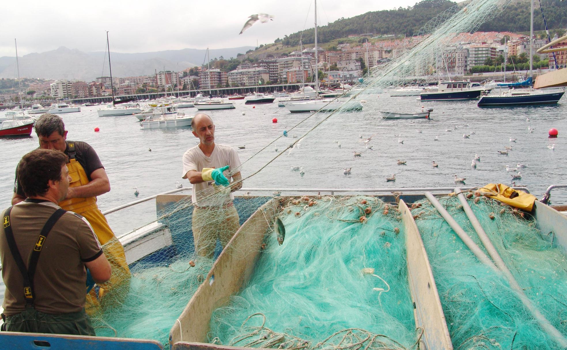 Pescadores en Castro al duro trabajo de la red.