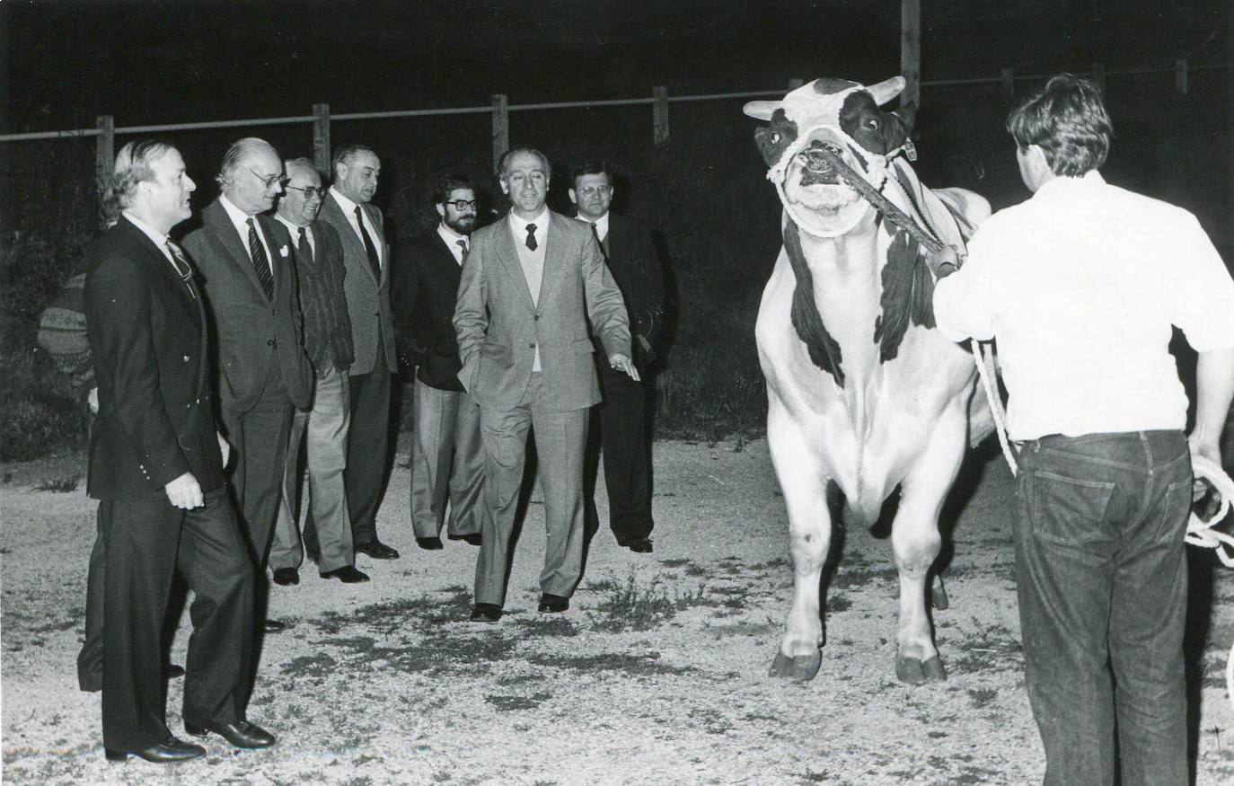 1988. Llegada del semental Sultán, procedente de Canadá, a Cantabria. El fue es recibido por el Gobierno Regional en pleno. En la imagen, Juan Hormaechea, Vicente de la Hera y Rogelio Pérez Bustamante, entre otros consejeros.