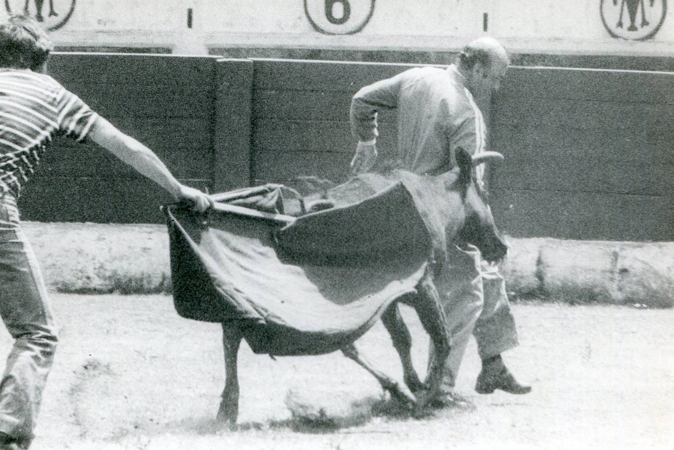 Juan Hormaechea Cazón cogido por una vaquilla.