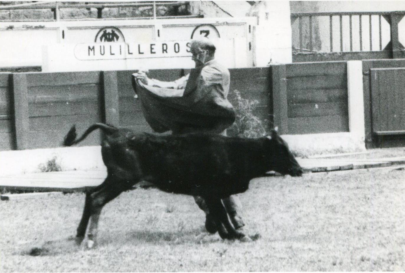 Hormaechea toreando a una vaquilla.