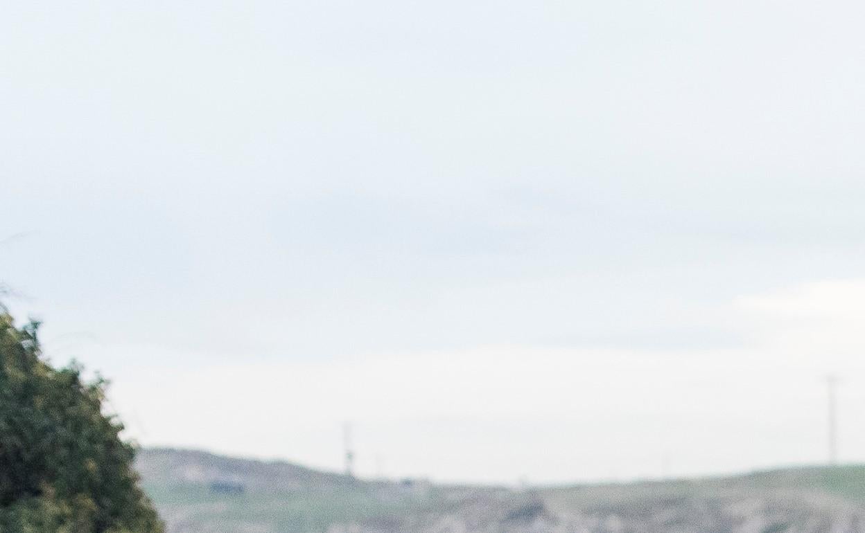 El alcalde, Alberto García Onandía, y el concejal de Medio Ambiente, Luis del Piñal, visitando la zona donde se ha llevado a cabo la campaña de reforestación.