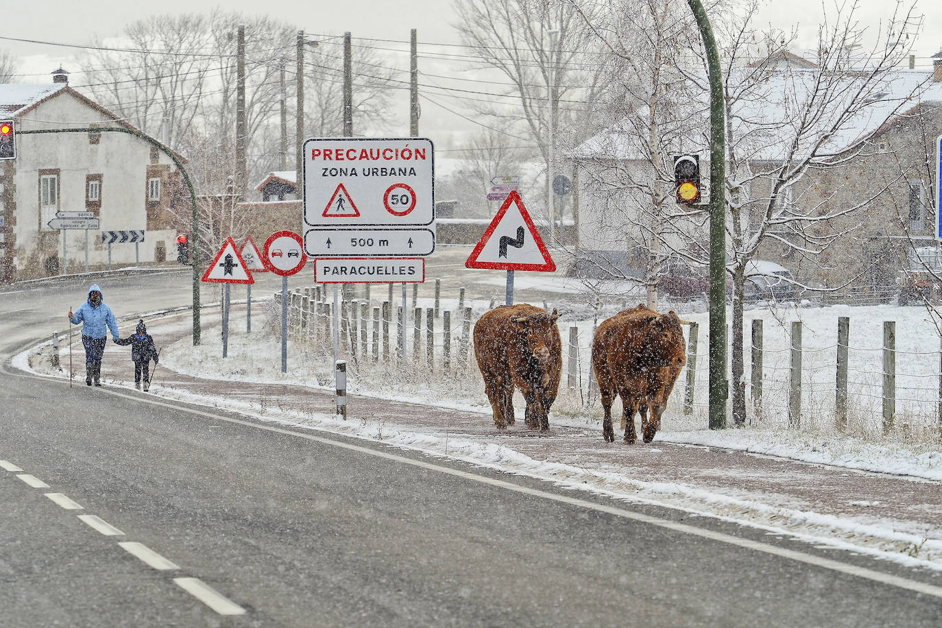 Fotos: La nieve cubre Campoo