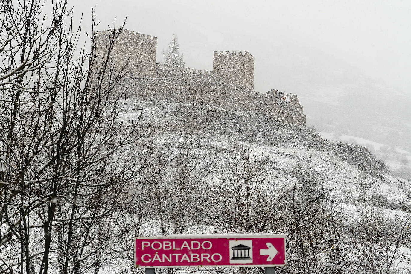 Fotos: La nieve cubre Campoo