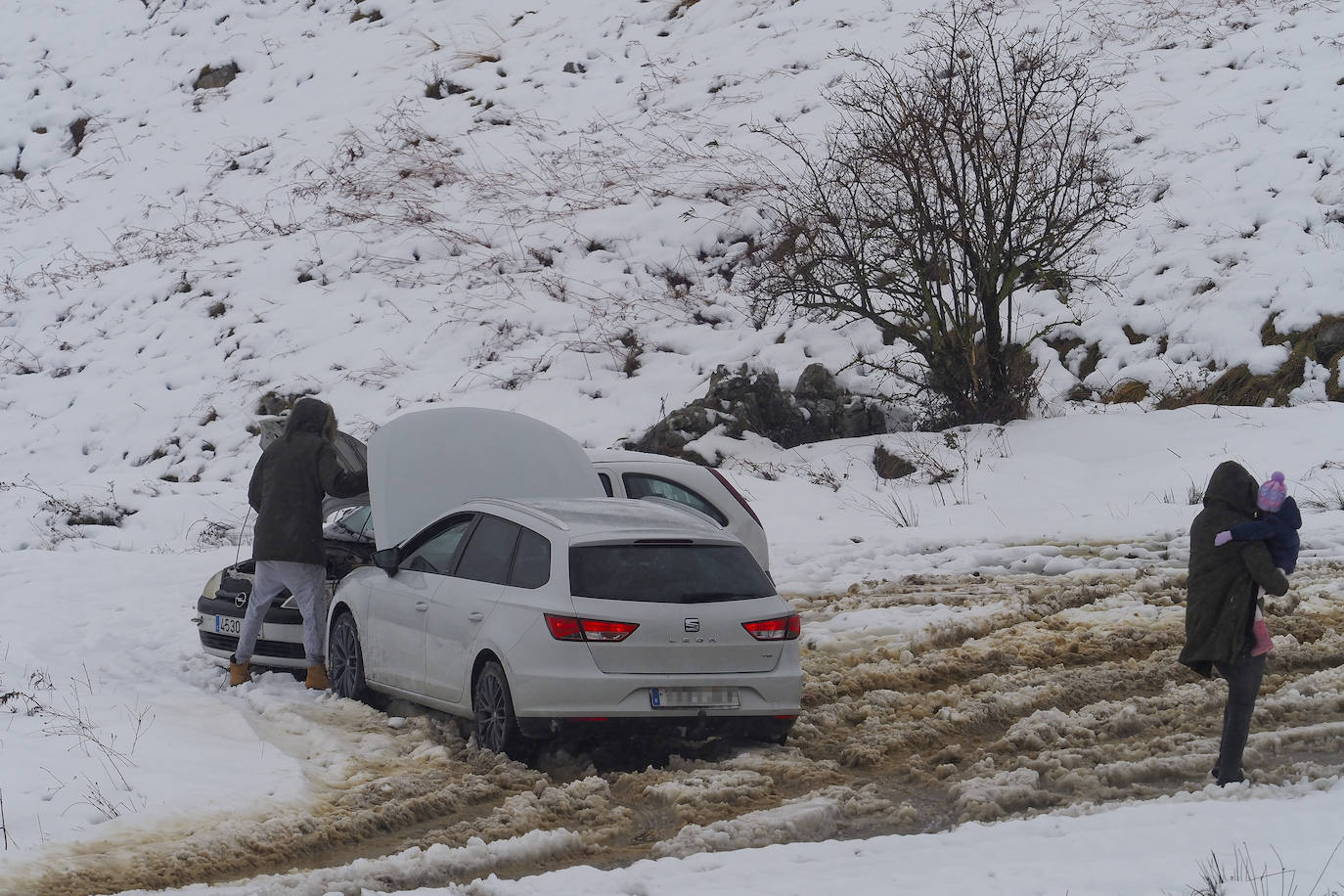 Fotos: La nieve cubre Campoo