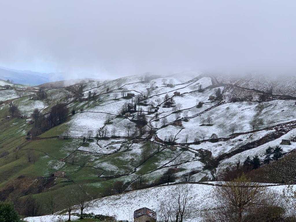 Fotos: La nieve cubre Campoo