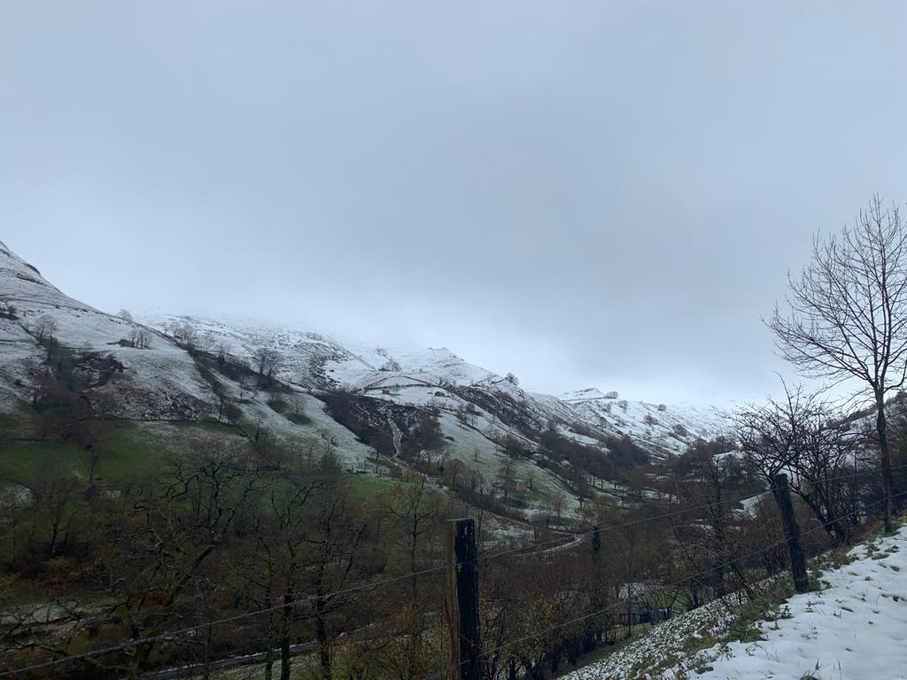 Fotos: La nieve cubre Campoo