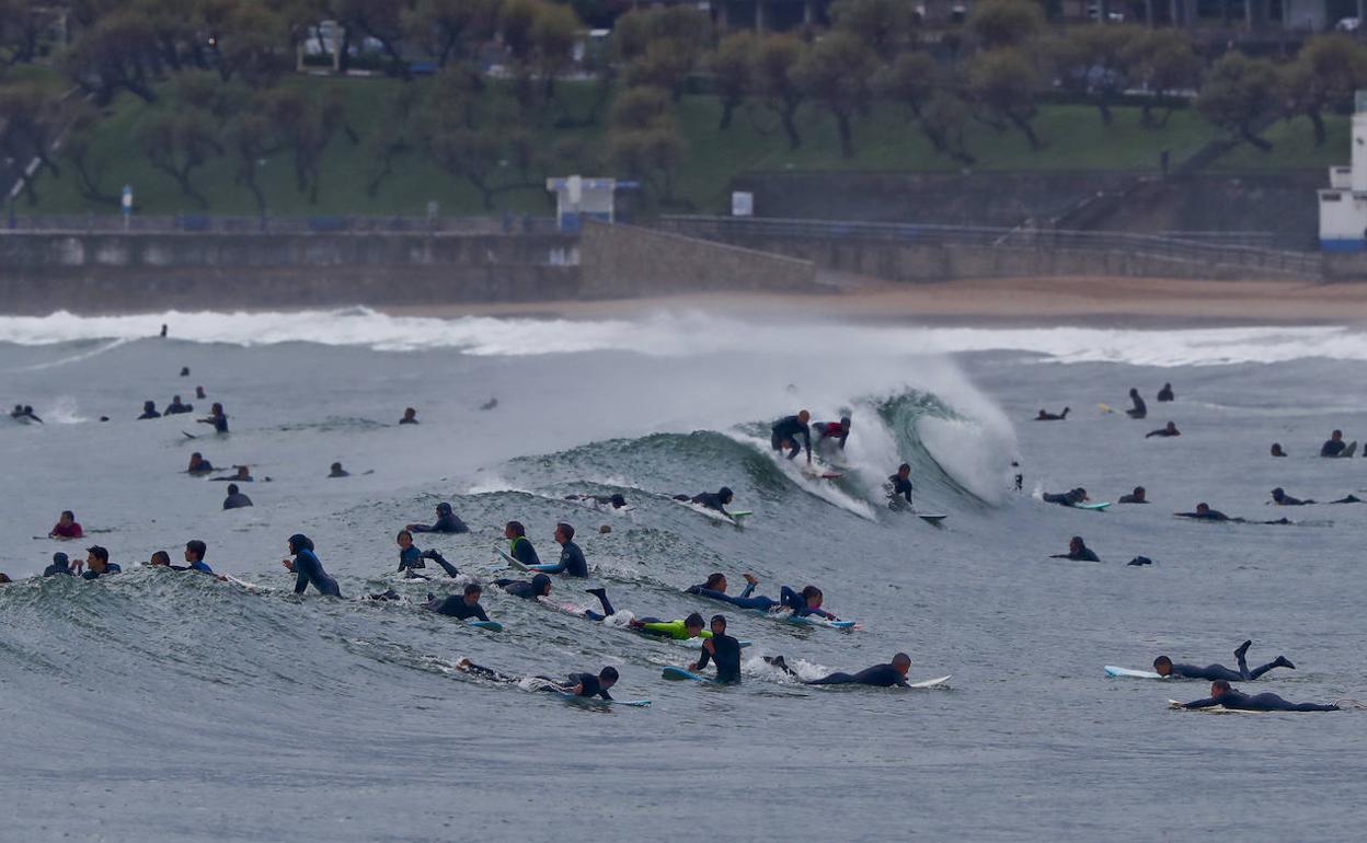 La imagen de un grupo de surfistas ayer en El Sardinero permite hacerse una idea de la cantidad de deportistas que se echaron al agua.