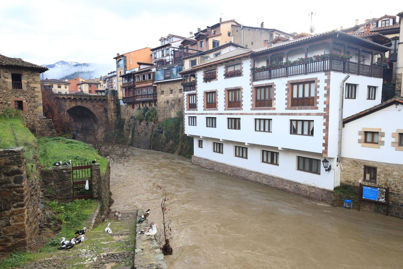 Fotos: Los ríos Deva y Quiviesa inundan fincas y paseos fluviales en Potes