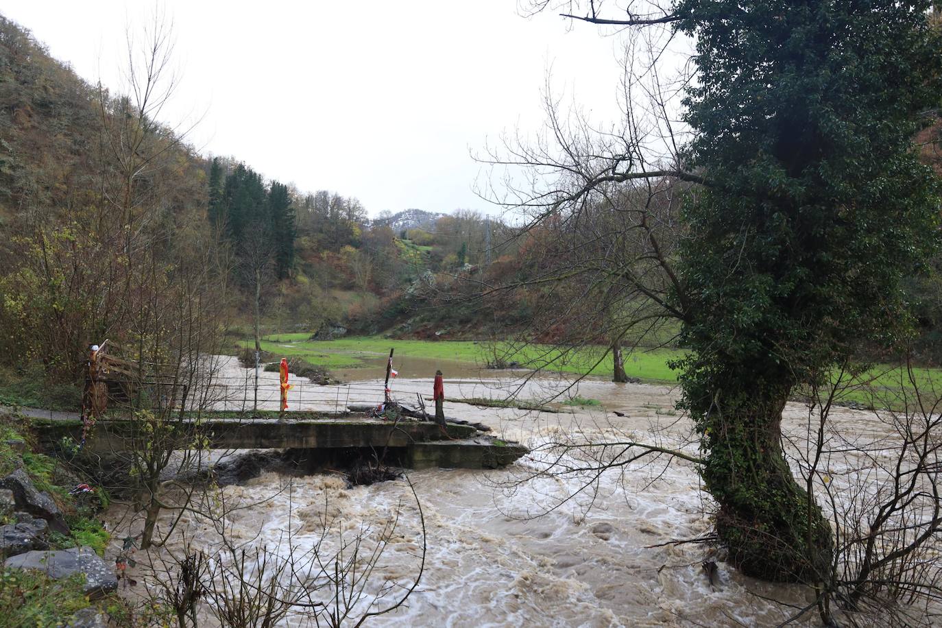 Fotos: Los ríos Deva y Quiviesa inundan fincas y paseos fluviales en Potes