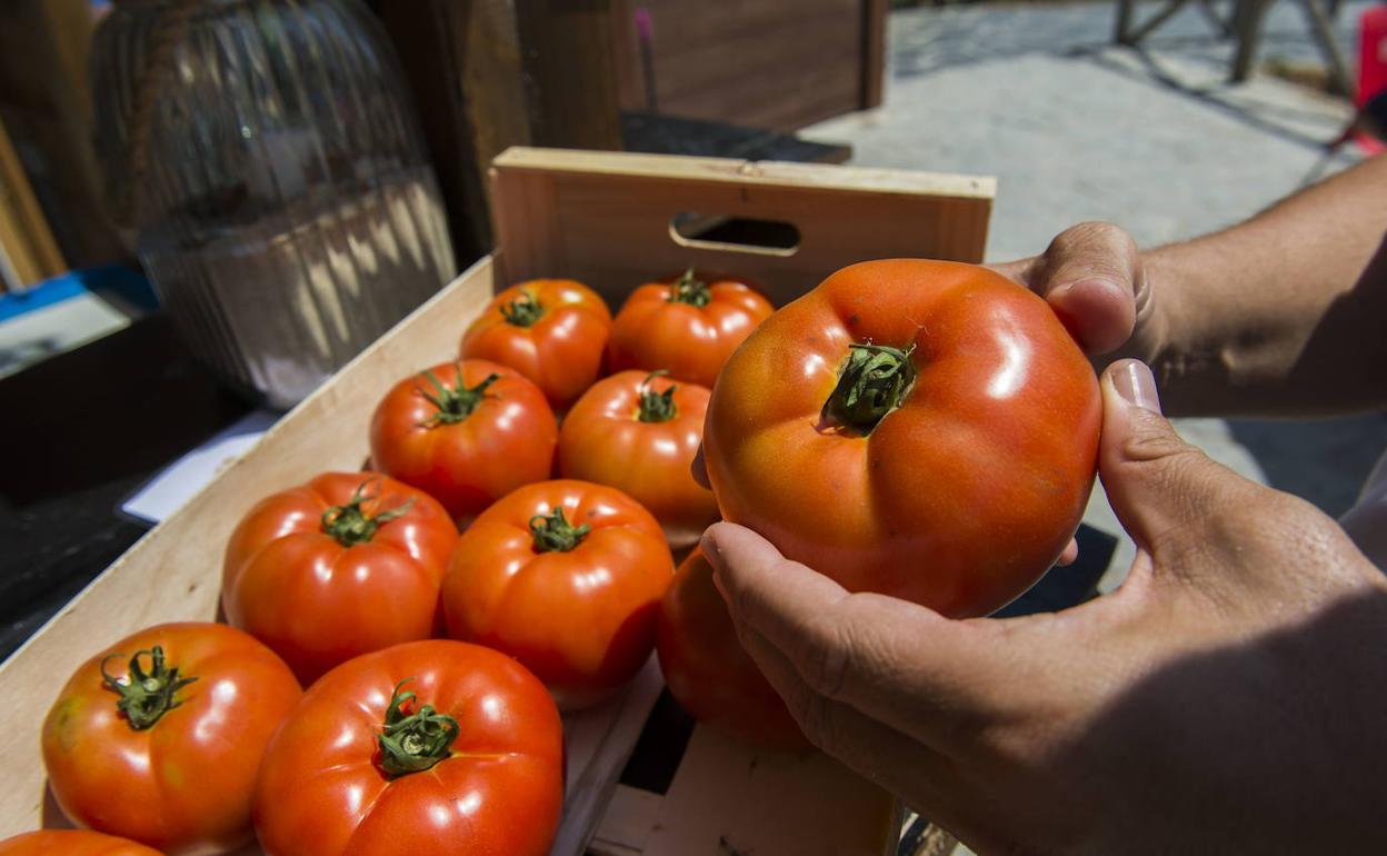 El Ayuntamiento de Torrelavea gastó 25.000 euros en una Feria del Tomate que no se celebró