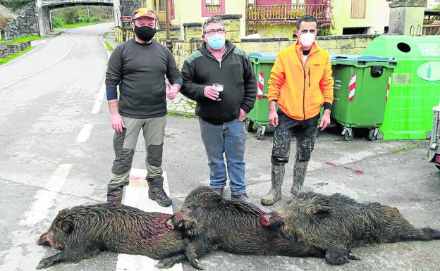 Cazadores del coto de Valdáliga, con tres jabalíes abatidos en una cacería celebrada recientemente.