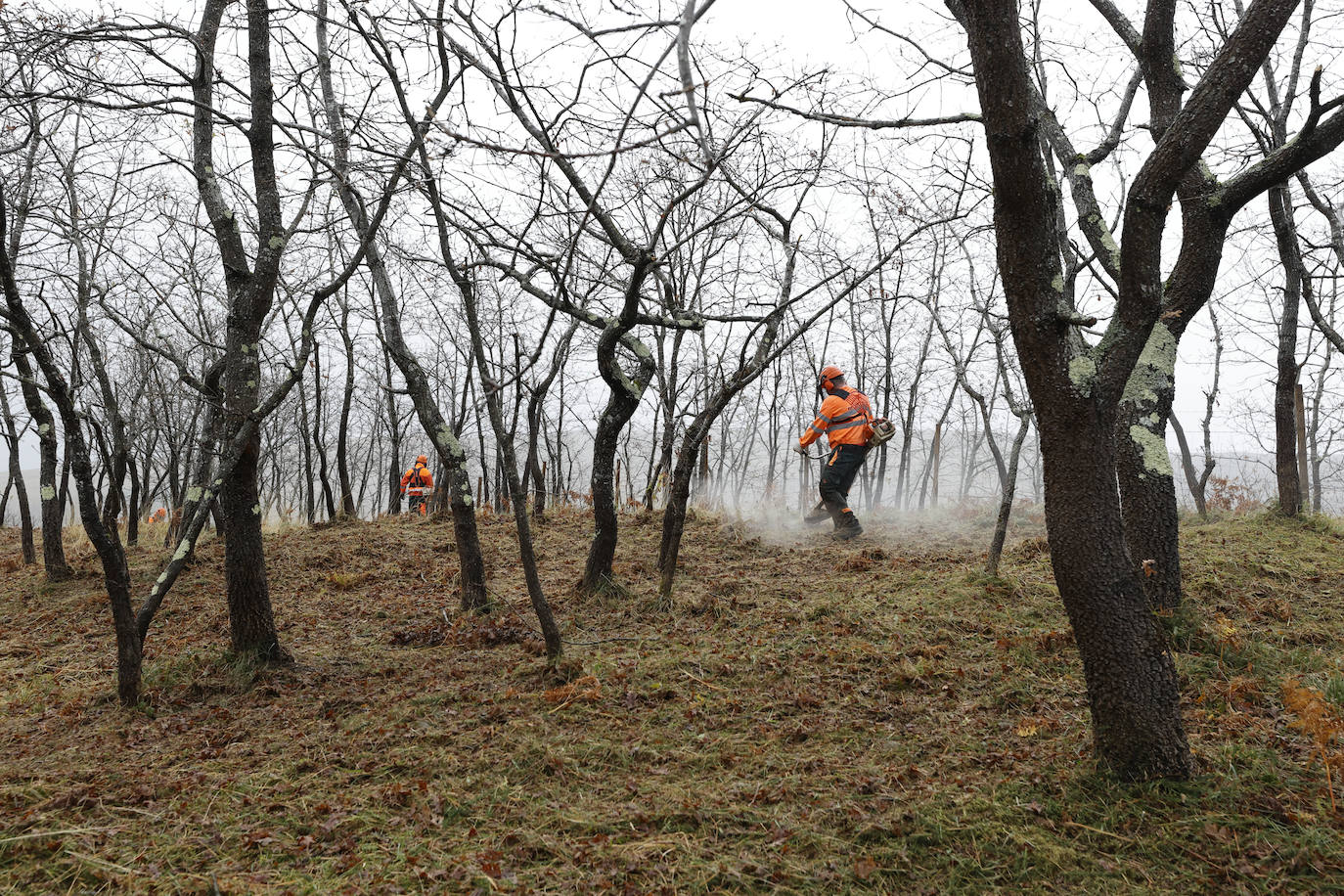 La Consejería de Desarrollo Rural reconoce la labor de los bomberos forestales, «que realizan tareas muy diversas»