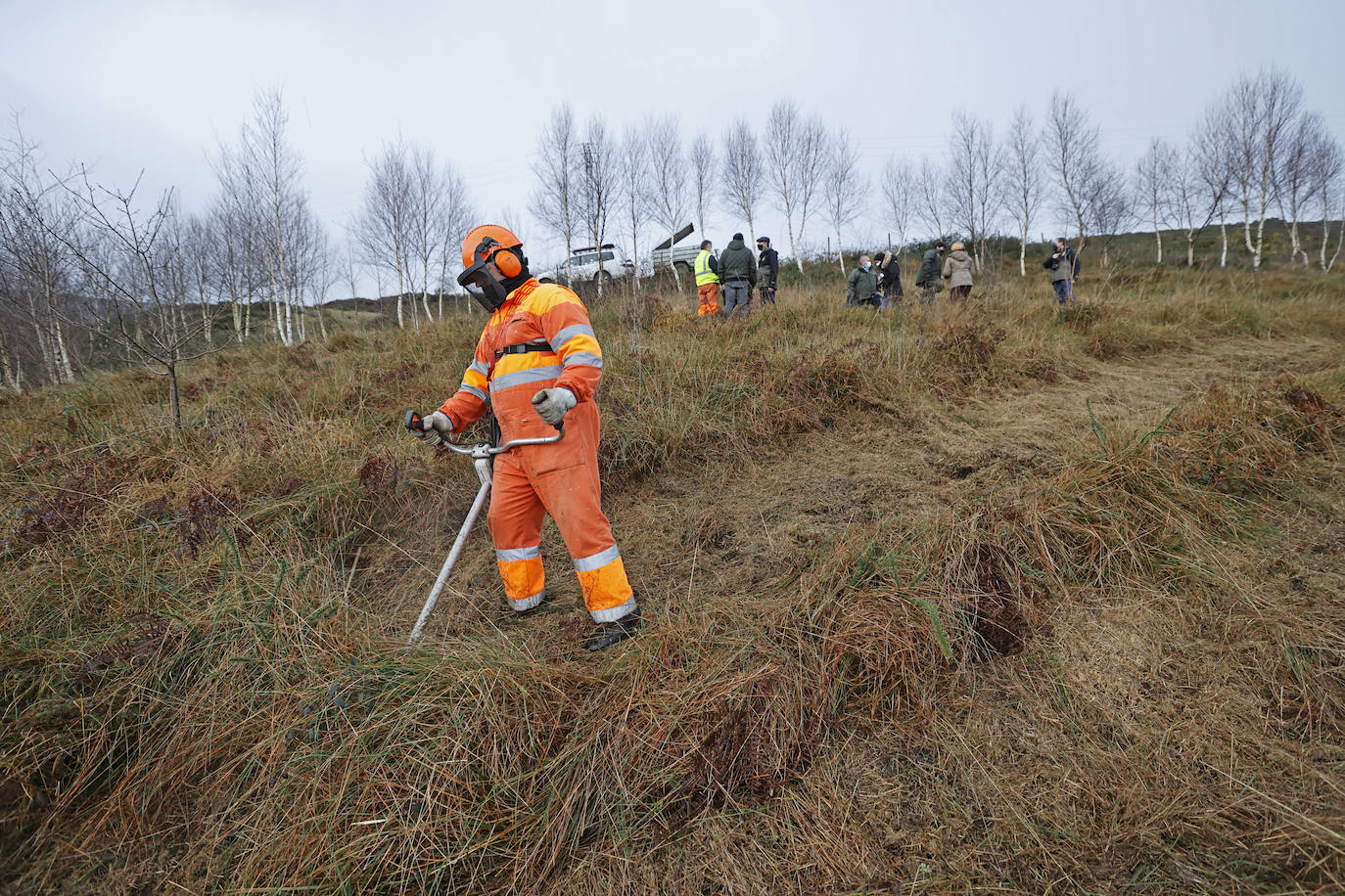 La Consejería de Desarrollo Rural reconoce la labor de los bomberos forestales, «que realizan tareas muy diversas»