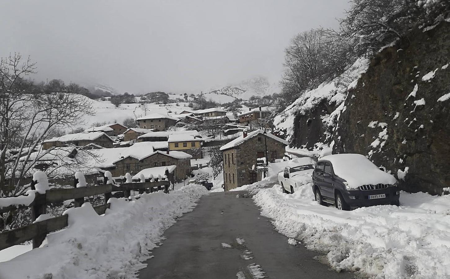 Cucayo nevado.