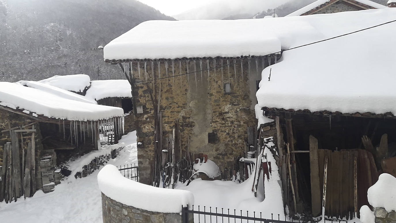 Cucayo nevado.