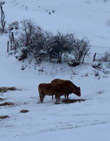 Imagen secundaria 2 - El temporal de frío y nieve da una pequeña tregua