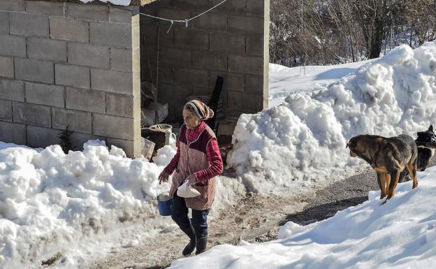 Imagen. La nieve complica la vida y las labores de los vecinos de San Roque de Riomiera.