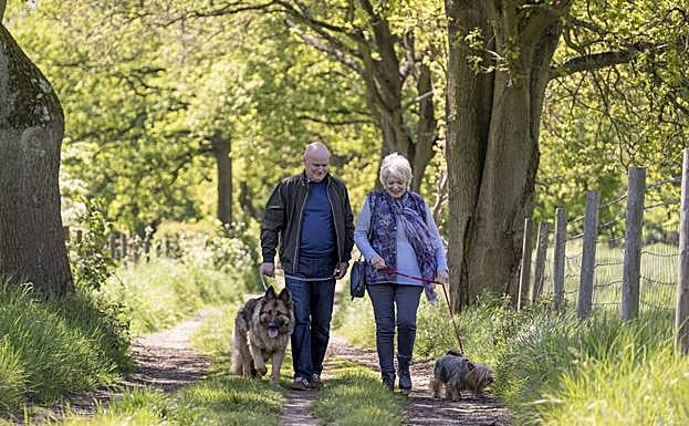 Imagen principal - Tres fotogramas de '23 paseos'.