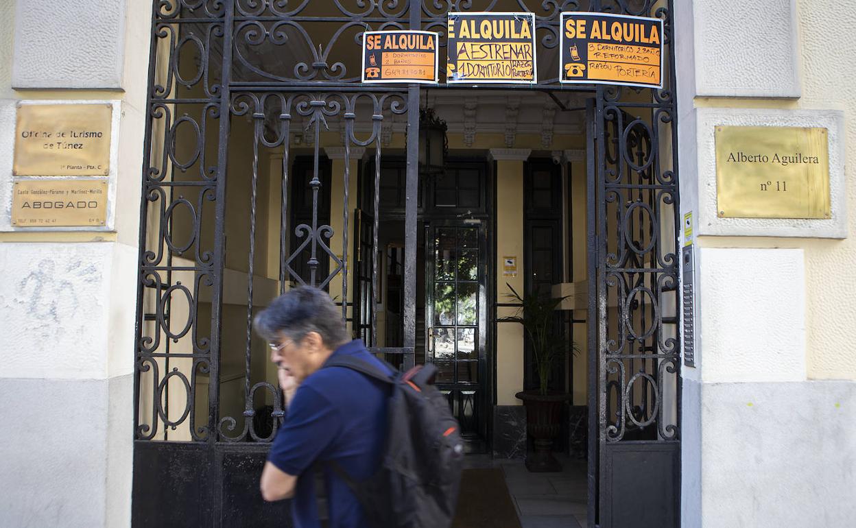 Carteles de «se alquila» en un bloque de pisos 