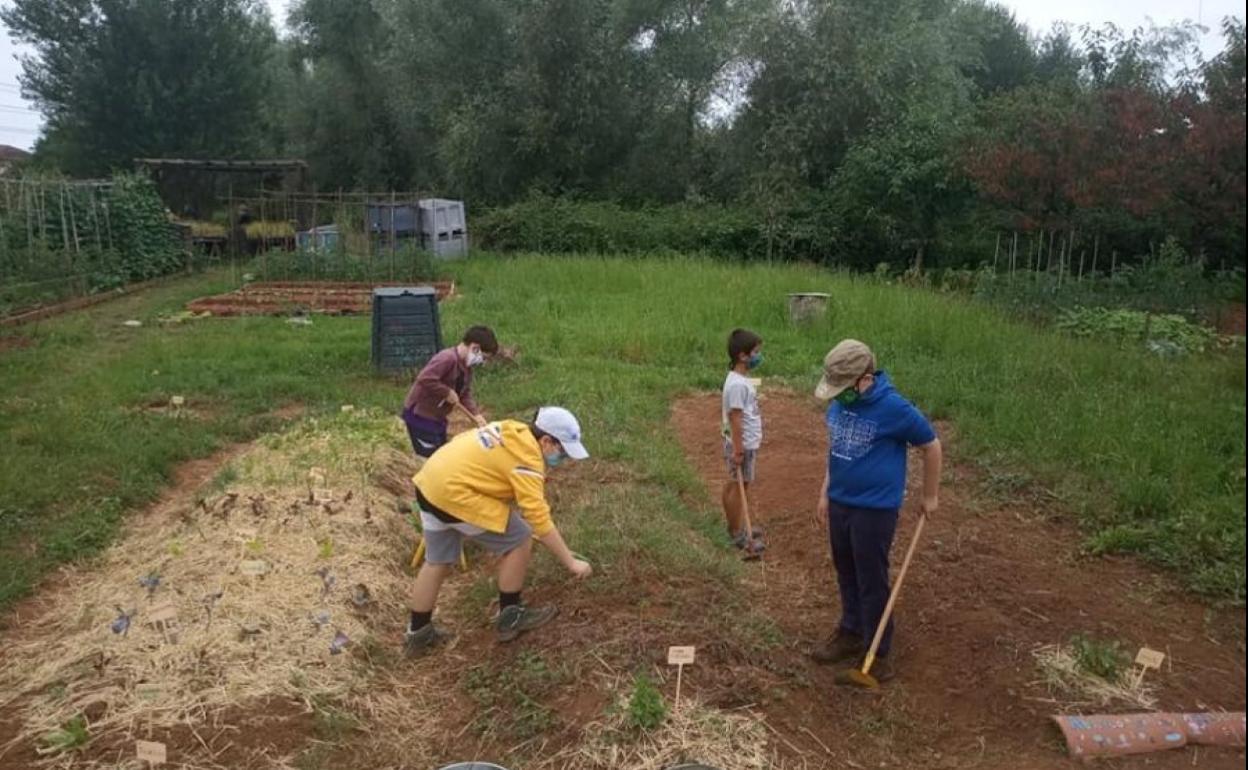 Vecinos trabajan en las Huertas Municipales Sostenibles, en Revilla de Camargo. 