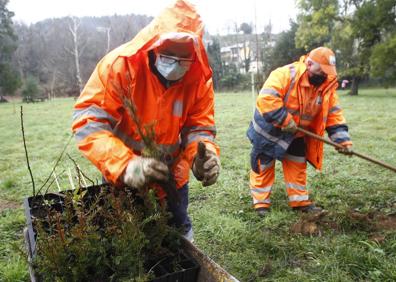 Imagen secundaria 1 - El Gobierno restaura el parque de La Viesca con la plantación de un millar de nuevos árboles autóctonos